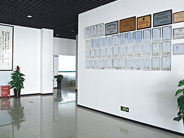 辦公環(huán)境是企業(yè)形象的黃金名片，為了營(yíng)造優(yōu)美的辦公環(huán)境，提升企業(yè)整體形象，公司下大力氣對(duì)辦公環(huán)境進(jìn)行整體包裝。嶄新的辦公環(huán)境增強(qiáng)了企業(yè)文化的穿透力和震撼力，也激勵(lì)了員工的工作熱情，樹(shù)立了安亞電氣良好的品牌形象，更表現(xiàn)了安亞人做大事、創(chuàng)大業(yè)的信心和魄力。